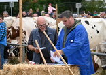 Kaltbrunner Märt 2025