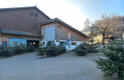 Christbäume