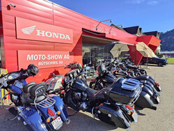 Mot-Show